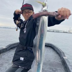 シーマジカル 釣果