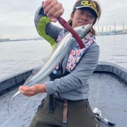 シーマジカル 釣果