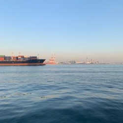 コスモ 太刀魚復活 行くなら今