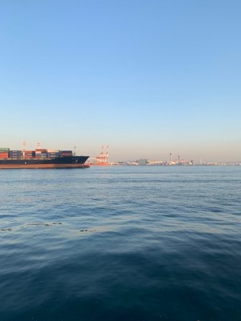 コスモ 太刀魚復活 行くなら今