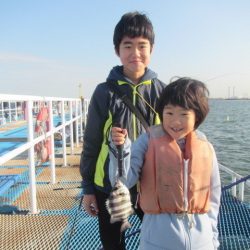 オリジナルメーカー海づり公園(市原市海づり施設) 釣果