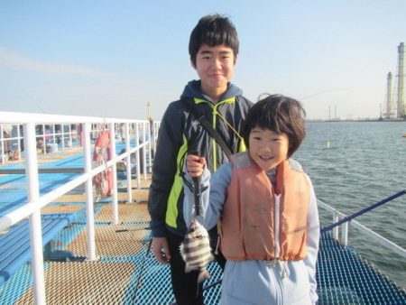 オリジナルメーカー海づり公園(市原市海づり施設) 釣果