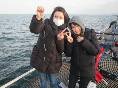 オリジナルメーカー海づり公園(市原市海づり施設) 釣果