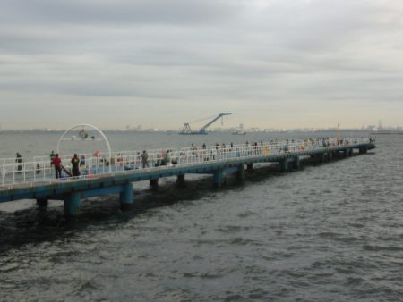 オリジナルメーカー海づり公園(市原市海づり施設) 釣果