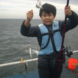 オリジナルメーカー海づり公園(市原市海づり施設) 釣果