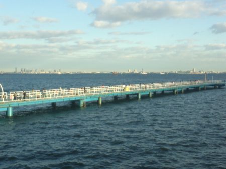 オリジナルメーカー海づり公園(市原市海づり施設) 釣果