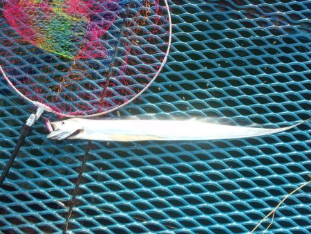 オリジナルメーカー海づり公園(市原市海づり…