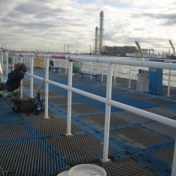 オリジナルメーカー海づり公園(市原市海づり施設) 釣果