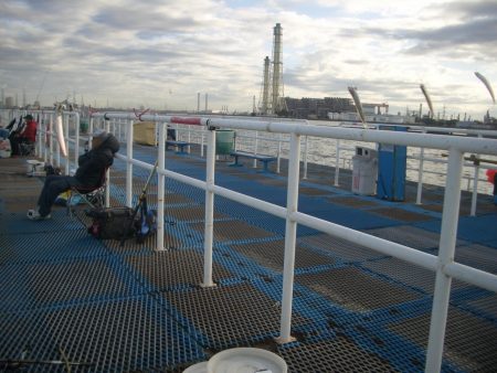 オリジナルメーカー海づり公園(市原市海づり施設) 釣果