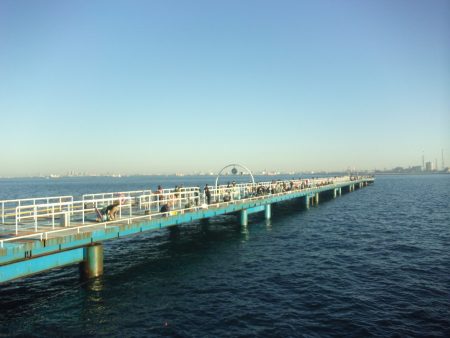 オリジナルメーカー海づり公園(市原市海づり施設) 釣果