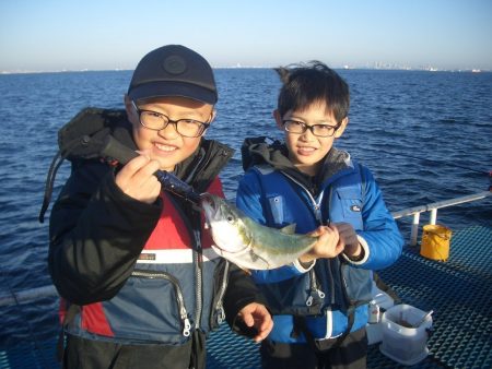 オリジナルメーカー海づり公園(市原市海づり施設) 釣果