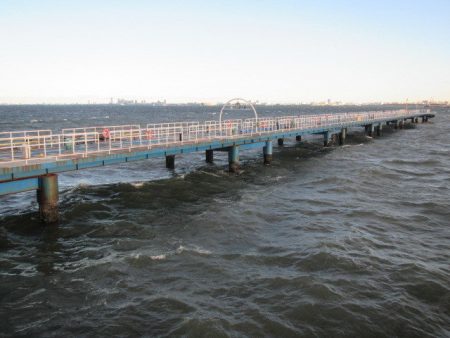 オリジナルメーカー海づり公園(市原市海づり施設) 釣果