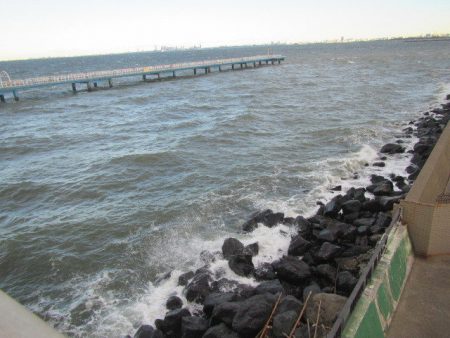 オリジナルメーカー海づり公園(市原市海づり施設) 釣果