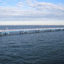 オリジナルメーカー海づり公園(市原市海づり施設) 釣果