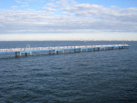 オリジナルメーカー海づり公園(市原市海づり施設) 釣果