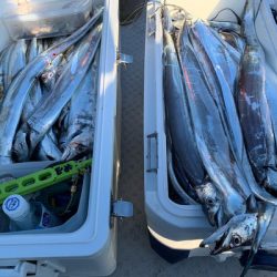 さんさん丸 釣果