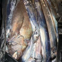 さんさん丸 釣果