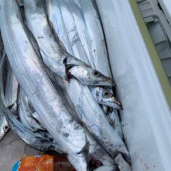 さんさん丸 釣果