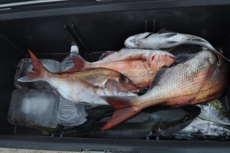 八海丸 釣果