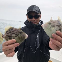 Magic（マジック） 釣果