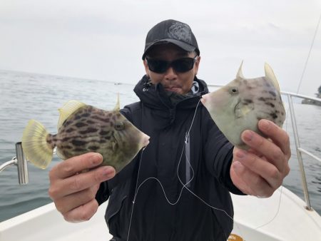 Magic（マジック） 釣果