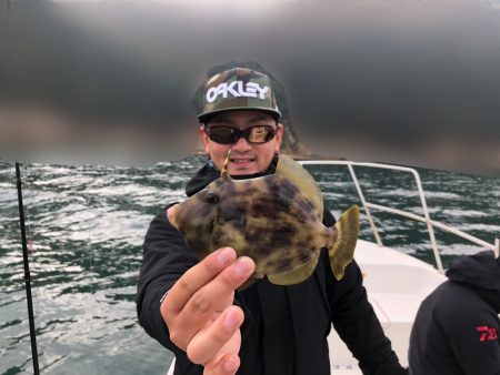 Magic（マジック） 釣果