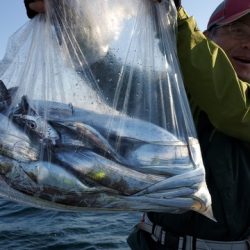 遊漁船 ニライカナイ 釣果