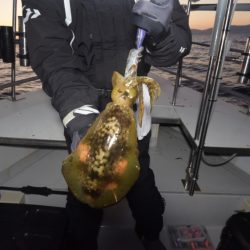 まるいち丸 ZERO-1 釣果