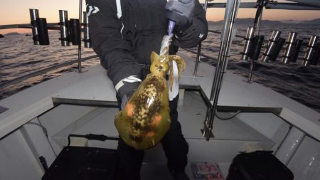 まるいち丸 ZERO-1 釣果