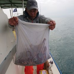 たかみ丸 釣果