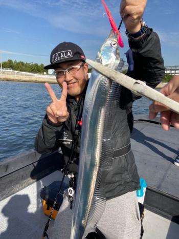 シーマジカル 釣果