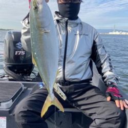 シーマジカル 釣果