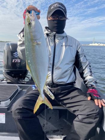 シーマジカル 釣果