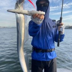 シーマジカル 釣果