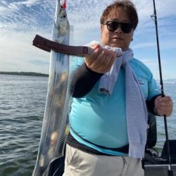 シーマジカル 釣果