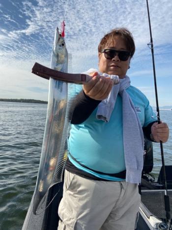 シーマジカル 釣果