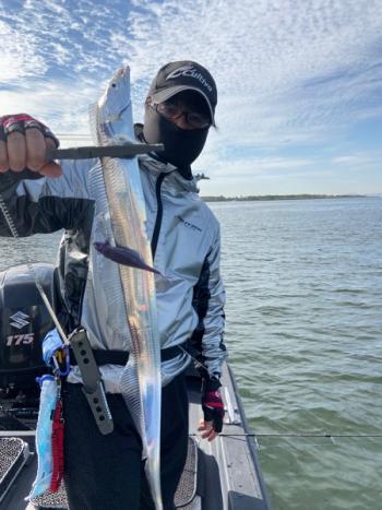 シーマジカル 釣果