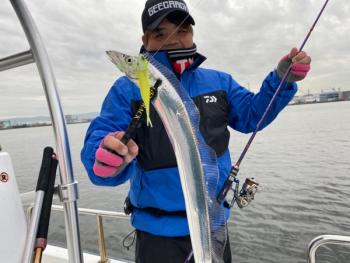 シーマジカル 釣果