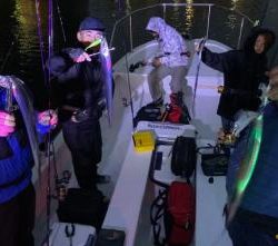 シーマジカル 釣果