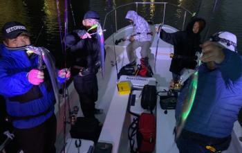 シーマジカル 釣果