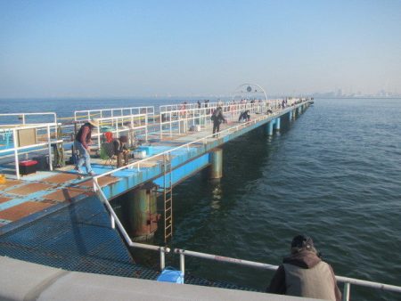 オリジナルメーカー海づり公園(市原市海づり…