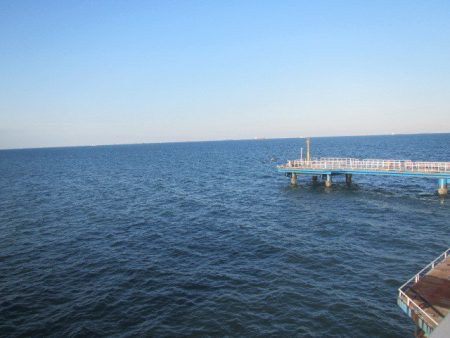 オリジナルメーカー海づり公園(市原市海づり施設) 釣果