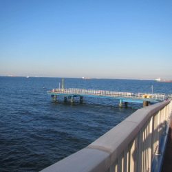 オリジナルメーカー海づり公園(市原市海づり施設) 釣果