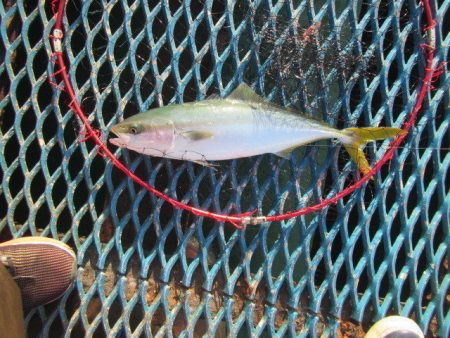 オリジナルメーカー海づり公園(市原市海づり…