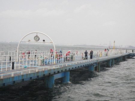 オリジナルメーカー海づり公園(市原市海づり施設) 釣果