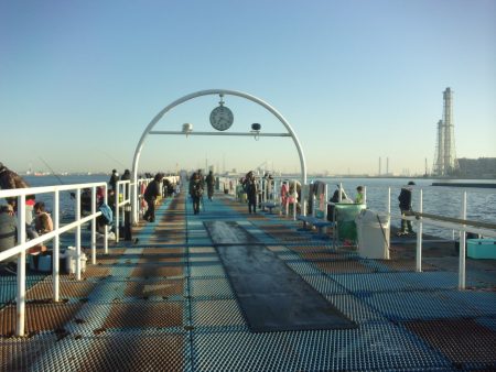 オリジナルメーカー海づり公園(市原市海づり施設) 釣果