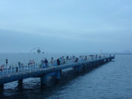 オリジナルメーカー海づり公園(市原市海づり施設) 釣果