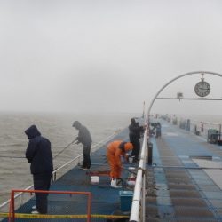 オリジナルメーカー海づり公園(市原市海づり施設) 釣果