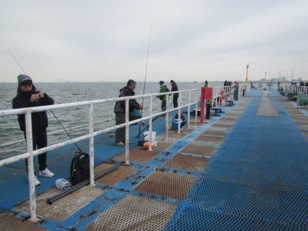 オリジナルメーカー海づり公園(市原市海づり…