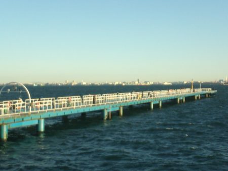 オリジナルメーカー海づり公園(市原市海づり施設) 釣果